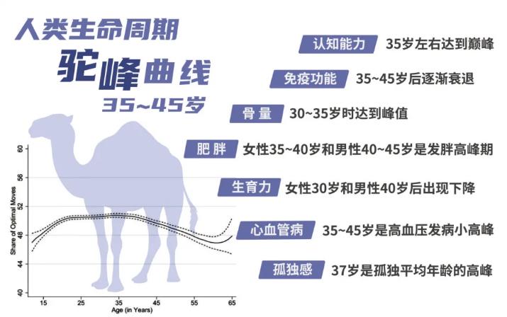 慕尼黑大学：身体有个「衰退曲线」，从这个年龄就走下坡路了！