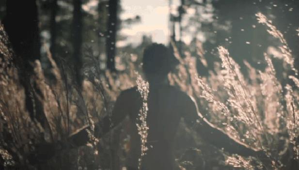 心若无旁骛，何处惹尘埃！