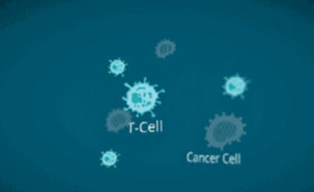 免疫力是世界上最好的医生，别让免疫随着年纪老去！