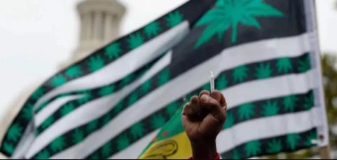 大麻：美国大选里的最大赢家！