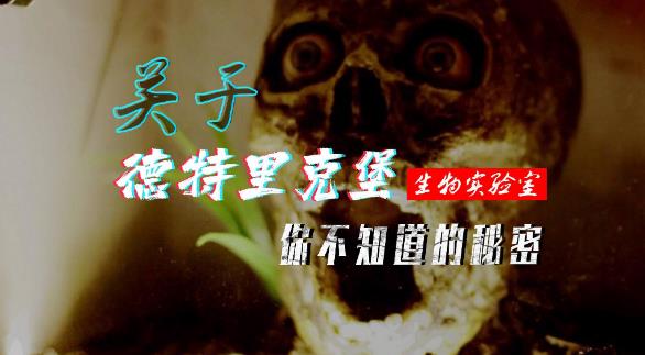 来自德特里克堡的新冠病毒！