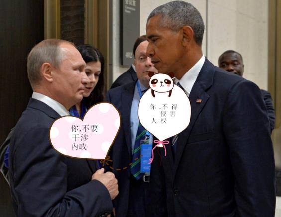 北极熊，为何变脆？