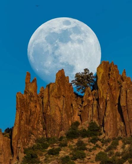 人生的最高境界，就这四个字！