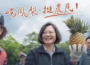 蔡英文手里的菠萝，像不像一颗手榴弹？