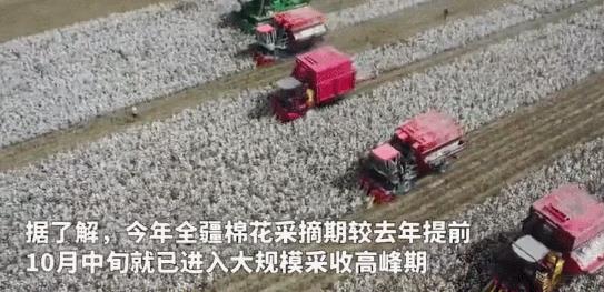 看看这一点，你就明白H&M为何辱华！