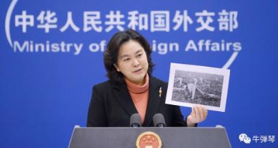 反击对新疆棉花的抹黑，中国八点破解之道！