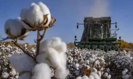 美欧英加“以疆制华”，有七大图谋！