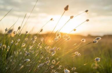 一个人走上坡路的5大思维，请逼自己养成！