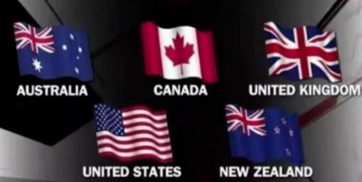 不可思议的狼！