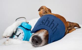 “晚睡晚起”比“早睡早起”的人差在哪里？科学家告诉你真相！