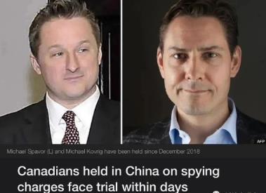 痛骂特鲁多走狗、败家子，为这位战狼外交官点个赞！