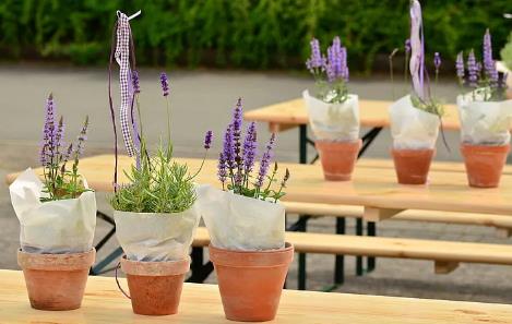 心态好的人，往往都有这5种习惯！