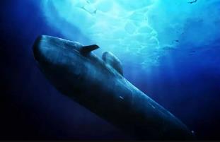 深度 | 面对曾经的核威慑，执剑人与我们同在！