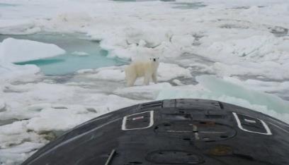 北极！俄罗斯逆转国运的最后一搏！