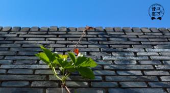 位置不同，不必解释！（深度好文）