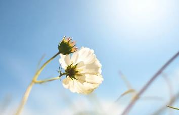 12个汉字，道尽人生真谛！