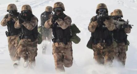 西方所谓的种族平等，永远不会包括华人！