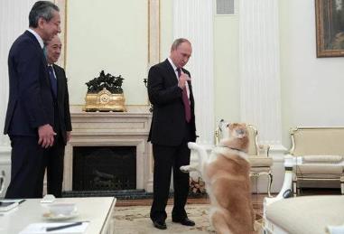 中国一句“狠话”搅动美日，俄倡议结盟！