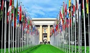 聊聊说中国违背了国际秩序与入世承诺是什么意思？