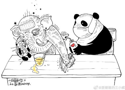 我们到底该不该帮印度？答案在这里！