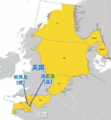 领导力不再——美国构筑反华联盟，内部矛盾乱如麻！