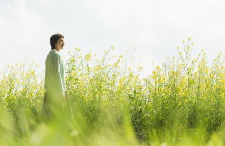 不慌不忙， 你就赢了！