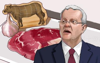 中国对澳大利亚出手！普京很高兴！