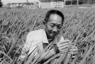 袁隆平的意义！