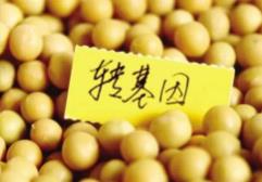 正确理解转基因，很有必要！