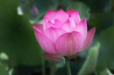 一针见血的17句粗话（太精辟了！）