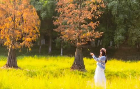 真正的成熟：一半追求美好，一半包容残缺！