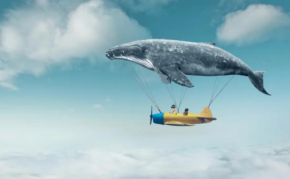 一个人停止进步的四个征兆！