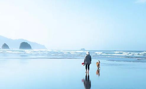 找到自己的幸福（说得真好）！