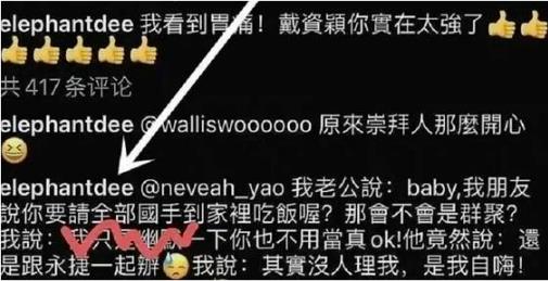 聊聊台湾女明星小S的台毒言论！