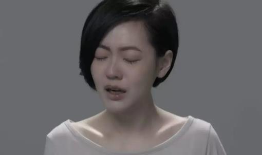 不支持台湾回归者，即是台毒！