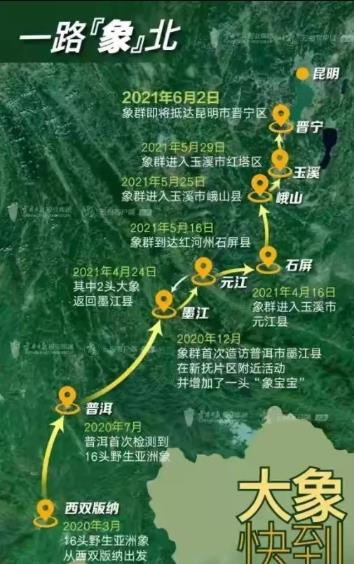象群北迁，降雨线北移，大陆国家的盛世来了！
