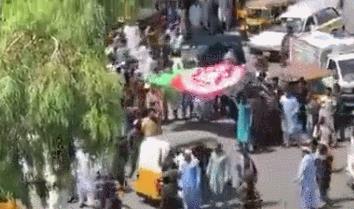 阿塔，还是上当了！