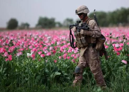 阿富汗的铜矿与鸦片，中美价值观的全球博弈！