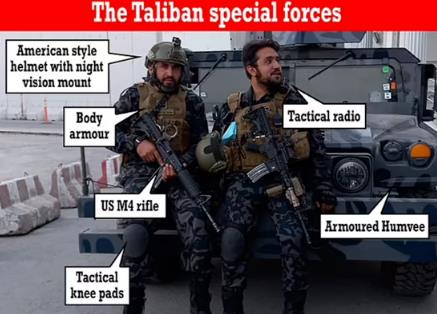 伤害性不大，侮辱性极强！