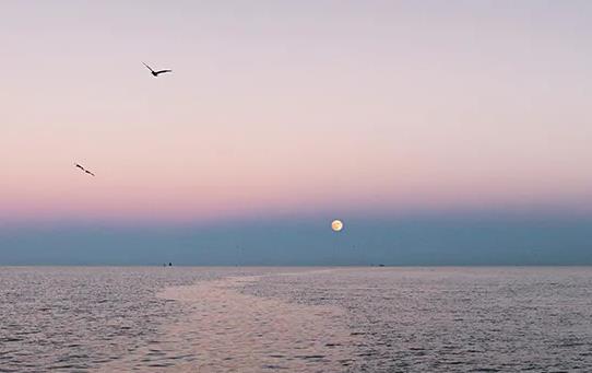 别在抱怨中仰望幸福！