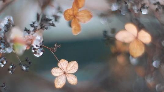 30岁以前的黄金10年，我劝你一天都不要浪费！