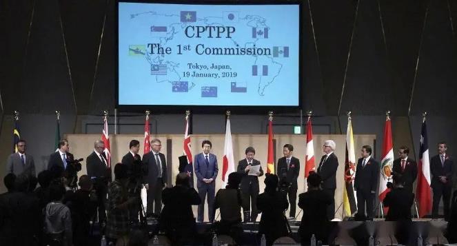 申请CPTPP的“神操作”！