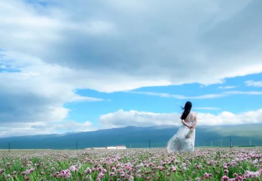 可有，可无；可去，可留！