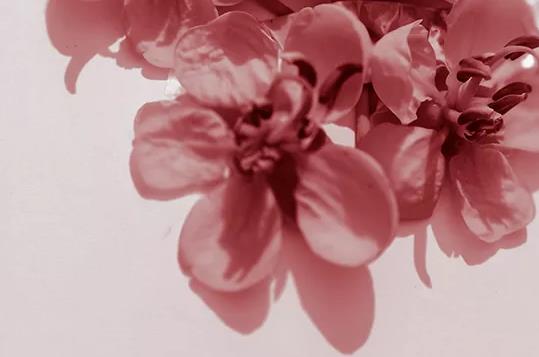 给渐渐老去的你，八封信（值得收藏）！