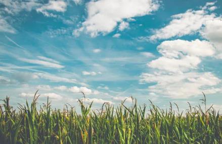 浅水喧哗，深水沉默！