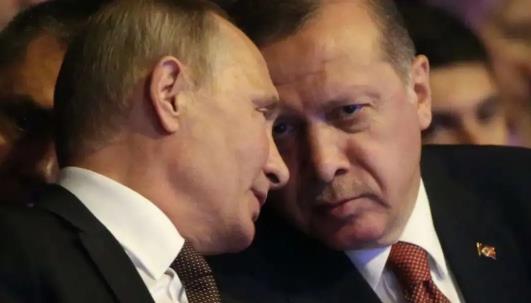 我要打10个！面对人权祖师爷，埃尔安多能否暴捶双标怪？