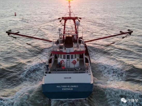 这两个西方大国，直接动手干上了！