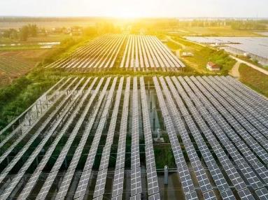 美国又来合作了？