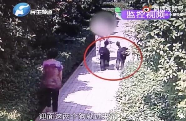 河南安阳有一把伞，估计快撑不下去了！