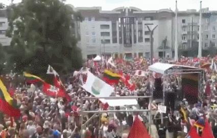 反制立陶宛的7点建议！
